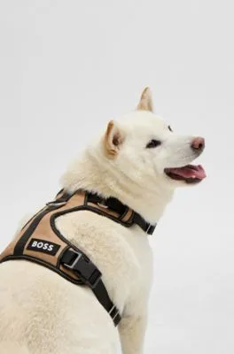Arnés acolchado para perros