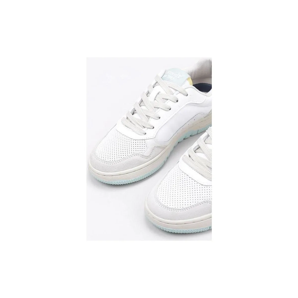 C80 CANVAS