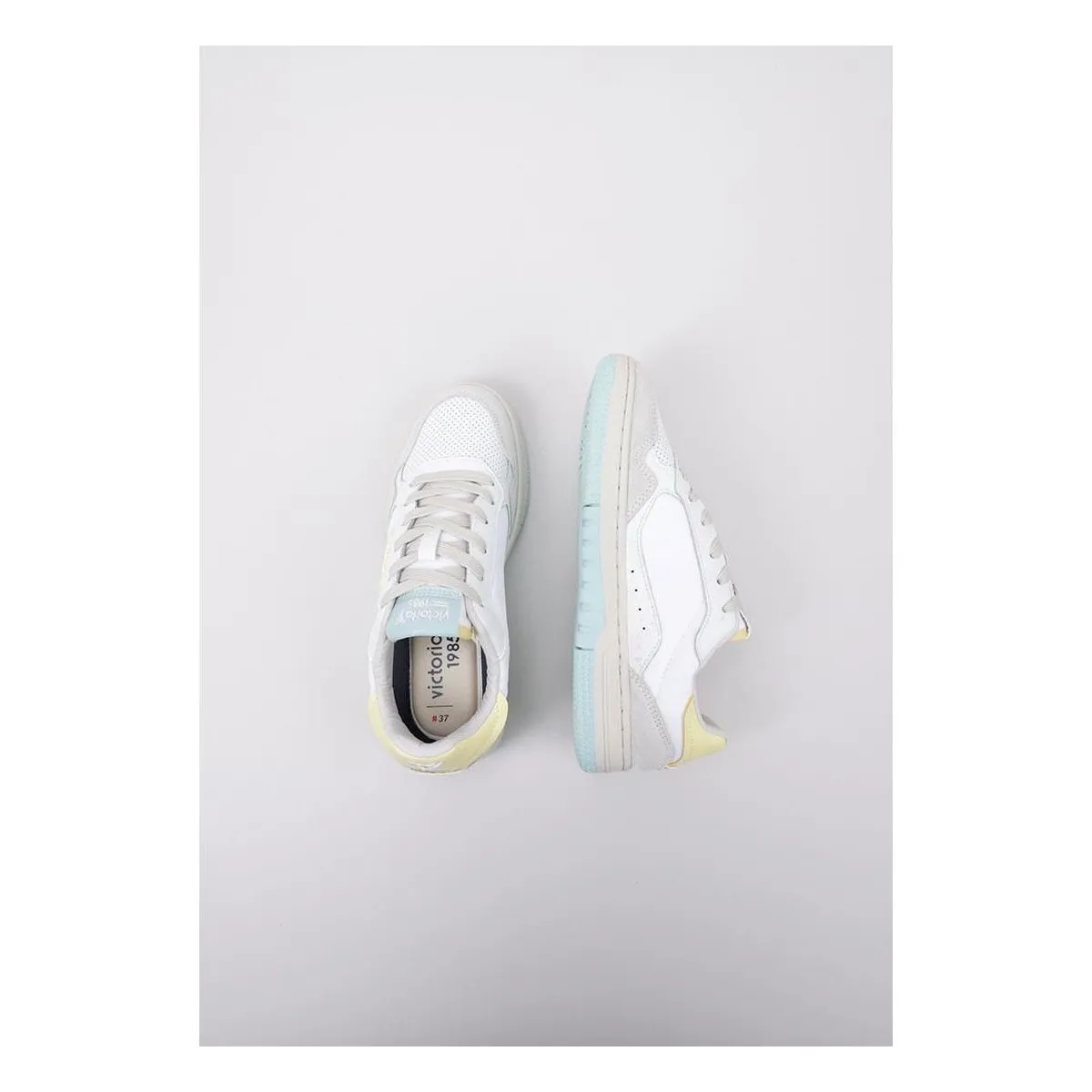 C80 CANVAS