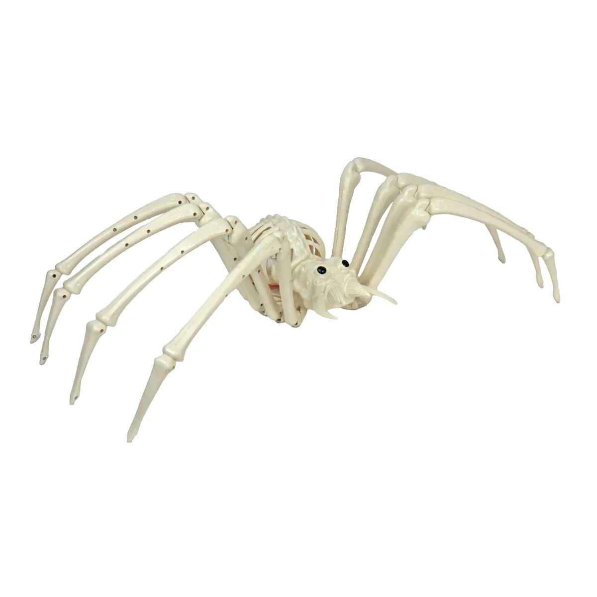Esqueleto de Araa Gigante para Decoración