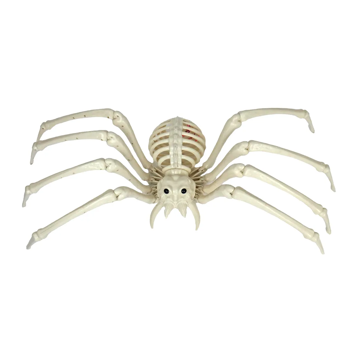 Esqueleto de Araa Gigante para Decoración